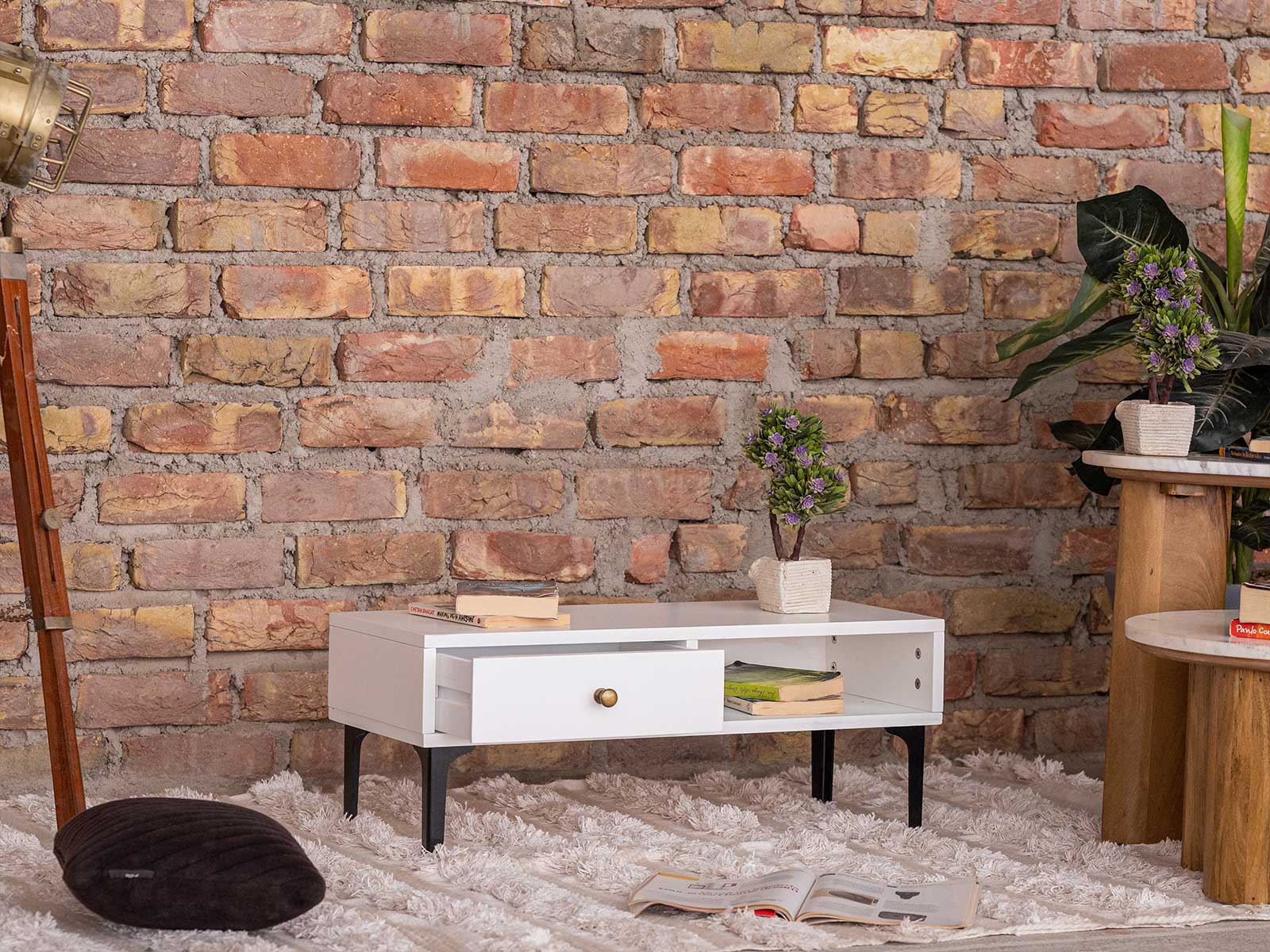 Duraster Novo Premium Coffee Table with Storage - Image 2