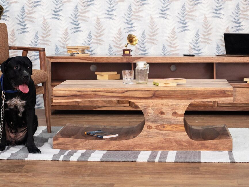 Hawkin Modern Sheesham wood Coffee Table #2 - Duraster