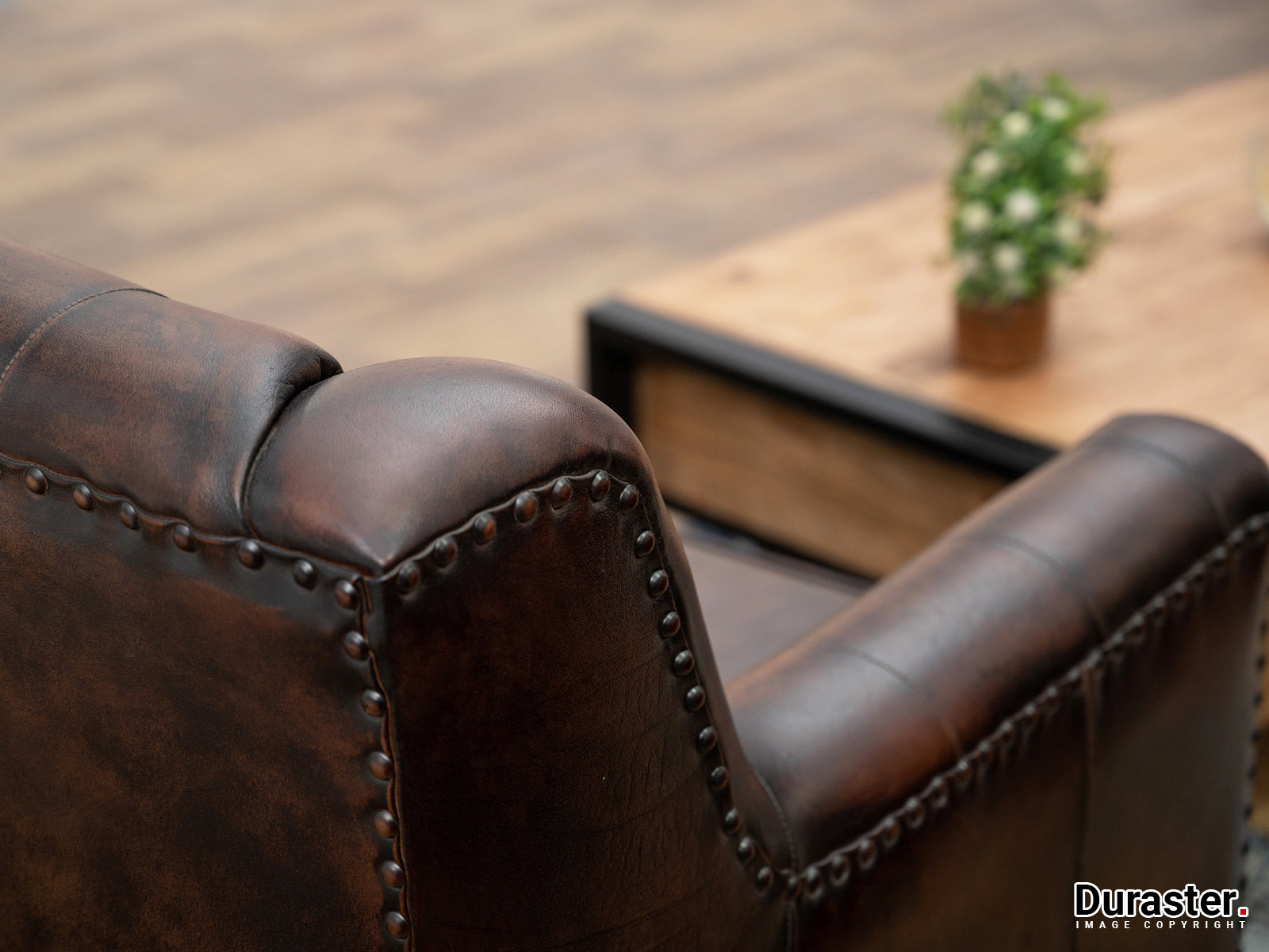 Duraster Chesterfield Colonial Brown Two Seater Sofa #15 - Image 3