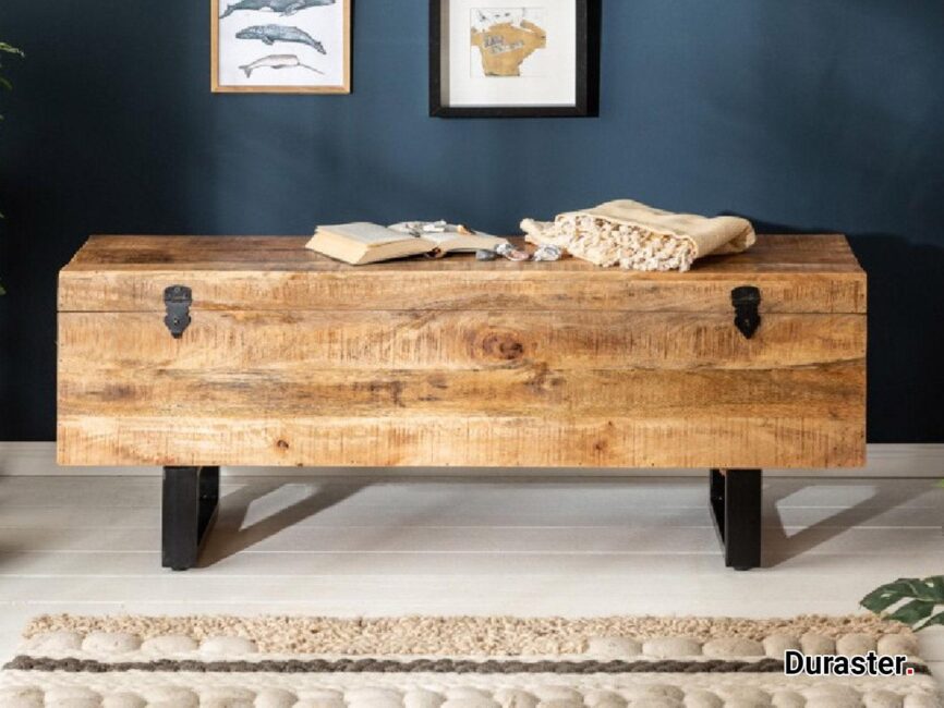 Verge Solid Mango wood Storage Coffee table with Iron Frame #2 - Duraster