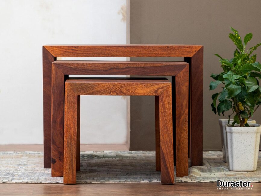 Vismit Solid Sheesham wood Nested Set of 3 Side Tables #1 - Duraster